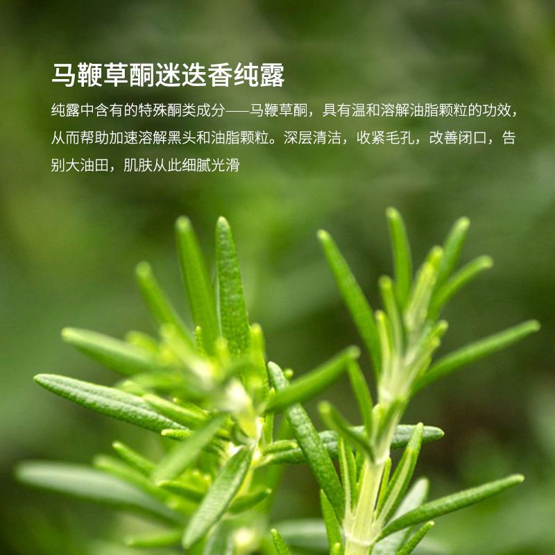 美妆品中一种非常有效的抗氧化剂