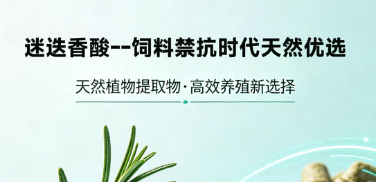 迷迭香酸的农牧应用优势 饲料禁抗的优质天然选择