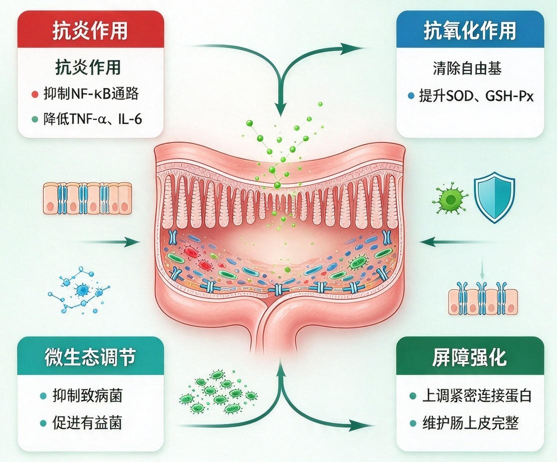 天然植物提取物在动物营养中的崛起与价值